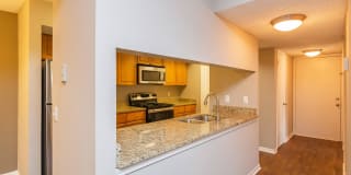 Sussex Downs Gallery 41