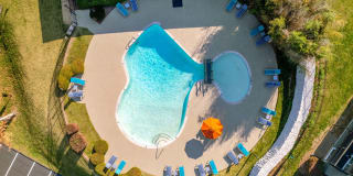 The Nelson Gallery 21