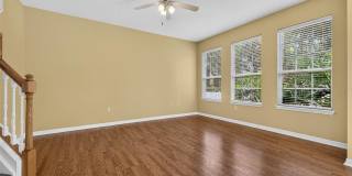 27747 PLEASURE RIDE Loop Gallery 4