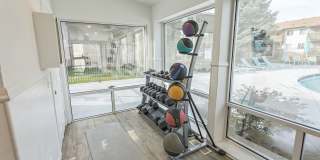 Springwood Gallery 10