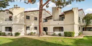 Vetra Chandler Gallery 41