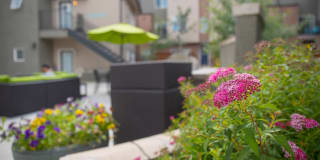 Uptown Broadway Gallery 12