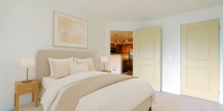 Forest Hills Forest Hills Gallery 6