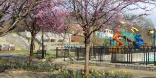 585 Jones Avenue Gallery 23
