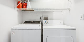 409 Schley Avenue Gallery 20