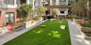 Troubadour Gallery 62