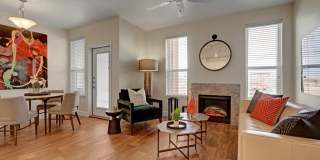 Latitude 31 Gallery 1