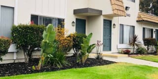 Westerly Shores Gallery 4