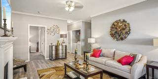 Bridford Lake Gallery 10