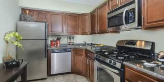 Hamilton Greene Gallery 1