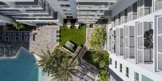 Tortoise One Gallery 35