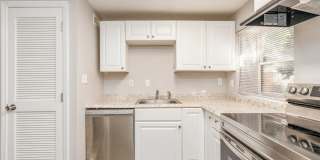 University Gardens Gallery 1