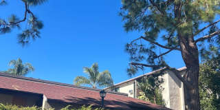 Spacious 1 bedroom Condo with Beautiful Views! Water, sewer, and trash included! Move In Ready! Gallery 1