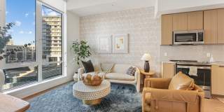 The Zoe Gallery 29