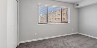 Swift at Riverdale Park Gallery 59