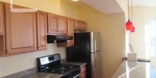 Nicely renovated 3 bed next to Brookline Village. Gallery 18