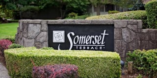 Somerset Terrace Gallery 19