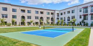 Vineyards Gallery 61