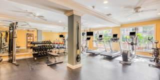 Windsor Lofts at Universal City Gallery 5