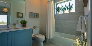 Altura Bayshore Gallery 36