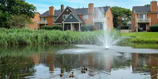 Fairway Lakes Gallery 31