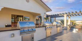 Vineyards Gallery 17