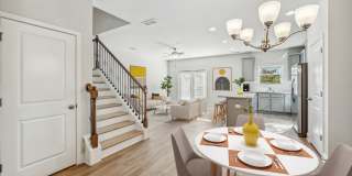 Surrey Green Gallery 6