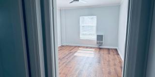 520 Hobart Gallery 3