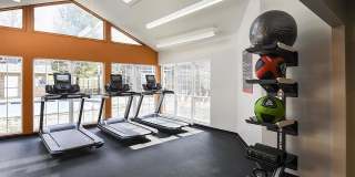 The View North Hills Gallery 31