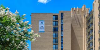 Whitestone at Landmark Gallery 15