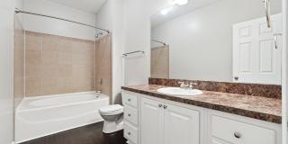 Tree Park Apartments Gallery 11