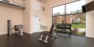 LYNX Gate City Gallery 17