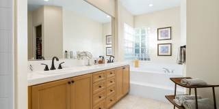 80824 Hermitage Gallery 15