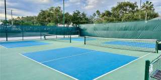 10222 DEVONSHIRE LAKE DRIVE Gallery 47