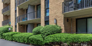 Whitestone at Landmark Gallery 7