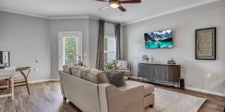 Kinsley Forest Gallery 4