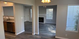558 Torrey Pine Lane Gallery 2