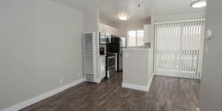 Pacific Vista Gallery 15