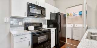 Vista Lake Ned Gallery 30