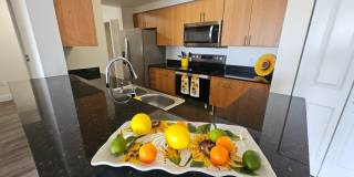 Colony at Dadeland Gallery 12