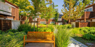 Peartree Apartments Gallery 31