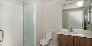 The Lex The Lex Gallery 48