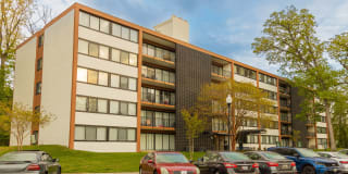 Flora Park Gallery 12