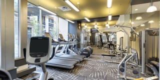 Galtier Towers Gallery 12