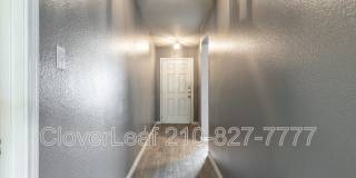 229 Hereford St Gallery 5