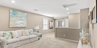 5347 Boschetto Street Gallery 17