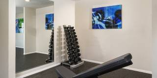 Stonecliffe Gallery 17