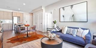 Canter Green Gallery 14