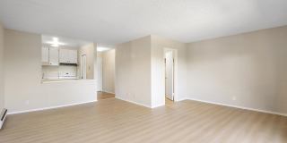 1327 Webster St #B305 - Studio | 1 bath | Condo Gallery 9