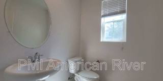 3805 Amelia Rose Way Gallery 12